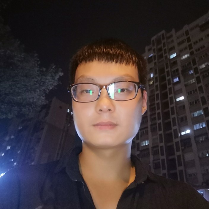 乌龟追寻的照片