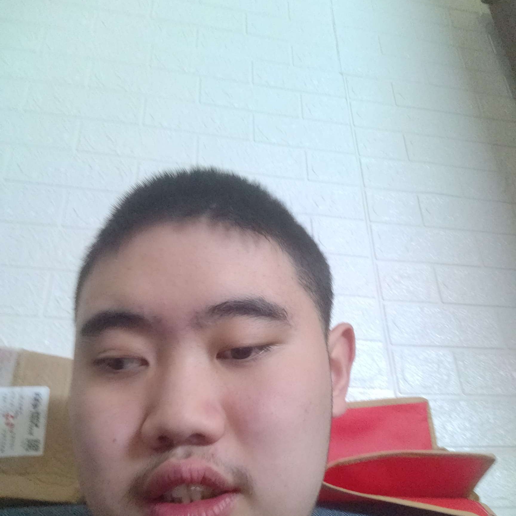 豆芽漫步眯眯眼的照片