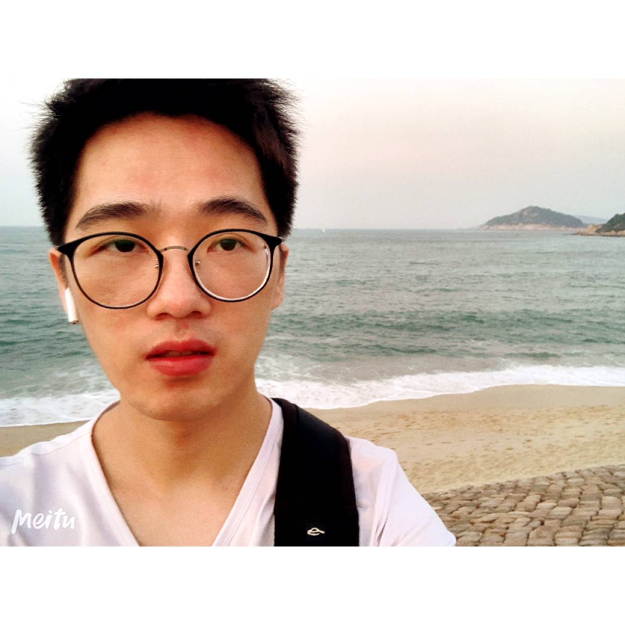 复杂黑白猫的照片