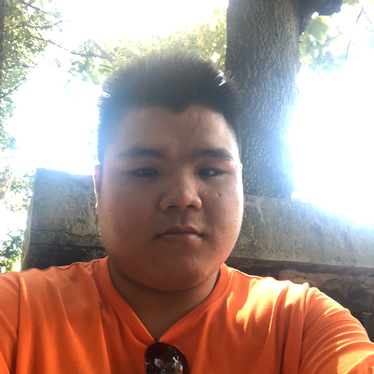 月亮凝眸美好的照片
