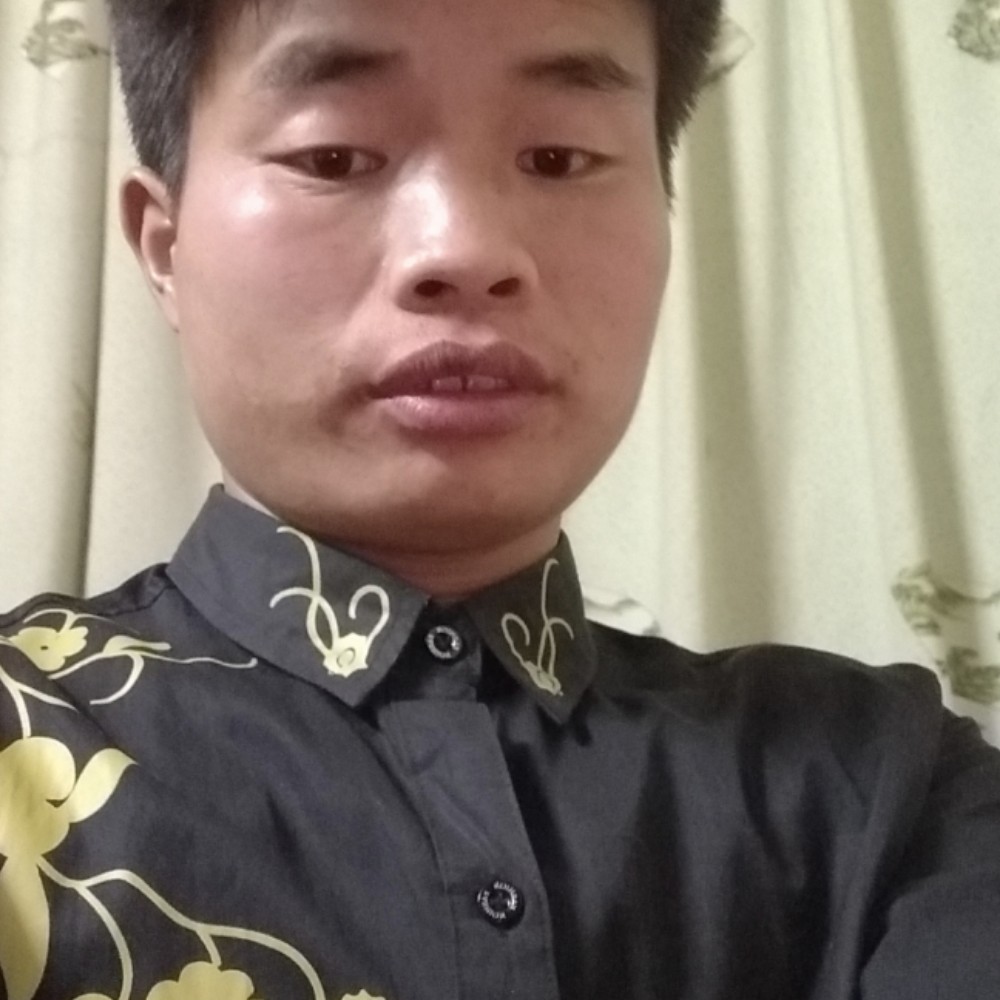 小懒猪回首动听的照片