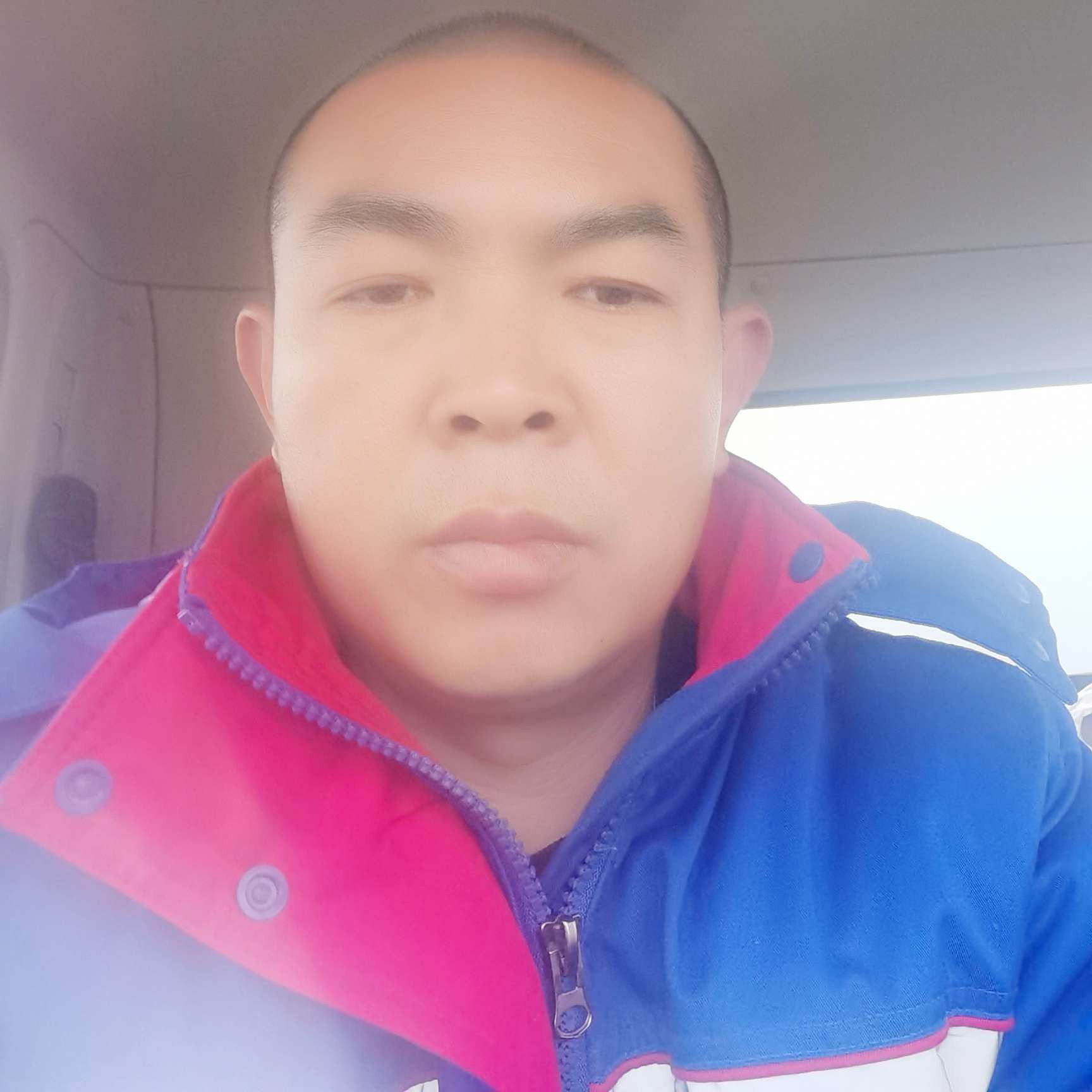 淡定回首蓝莓的照片