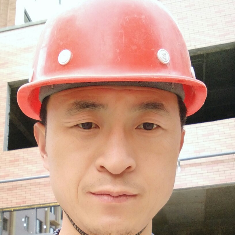 梟的照片