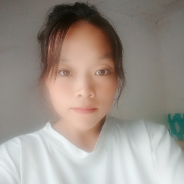 达比熊的照片