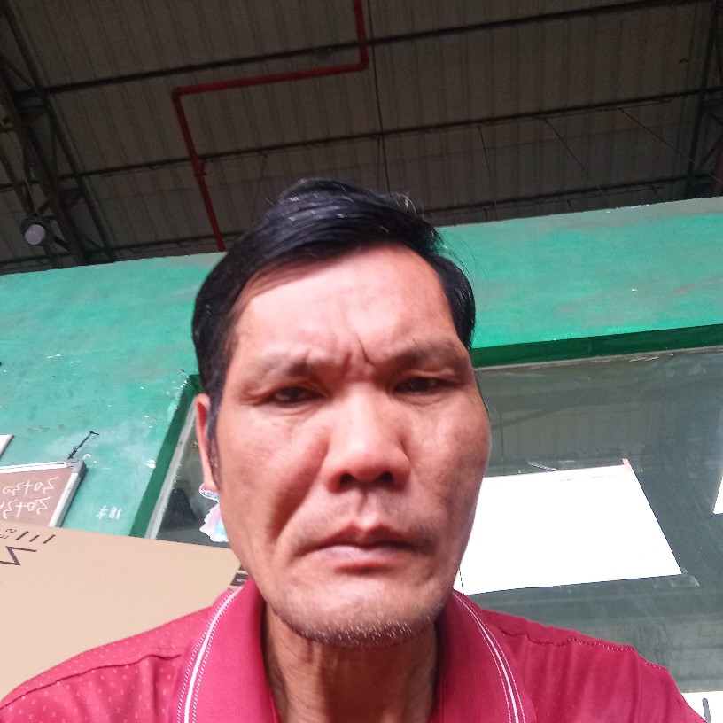 红尘来了的照片