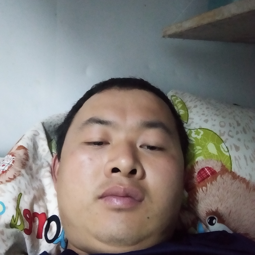 寂寞的有缘人的照片