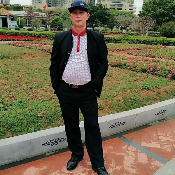 小懒猪炙热的照片
