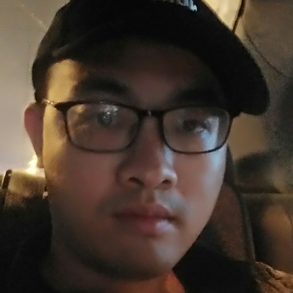 大意树叶的照片
