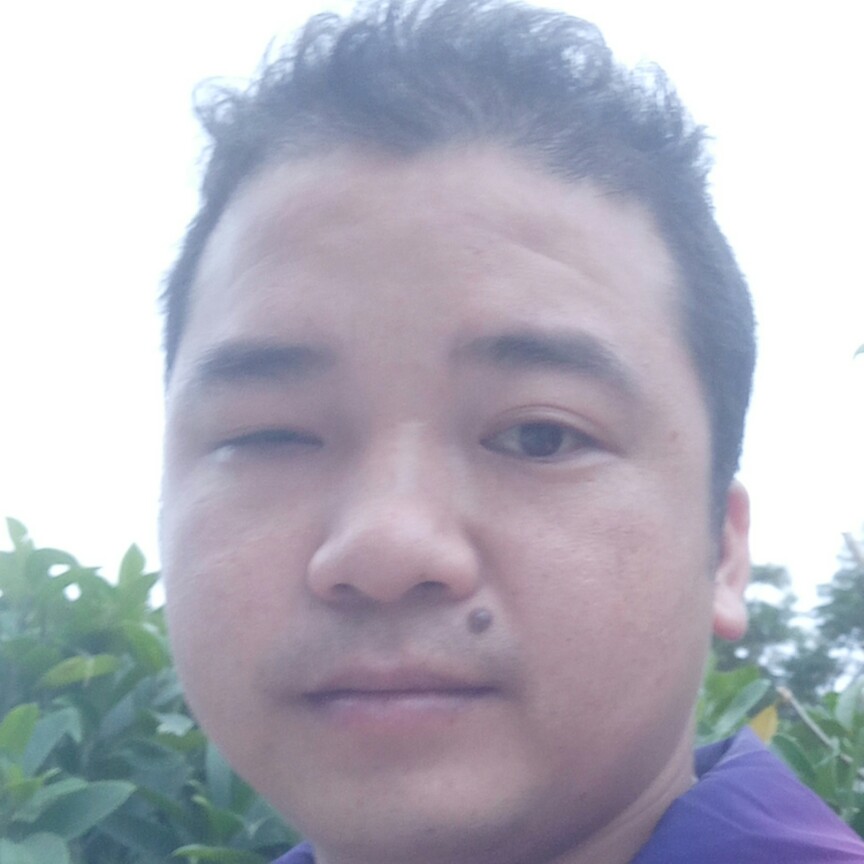 板栗改变轻松的照片