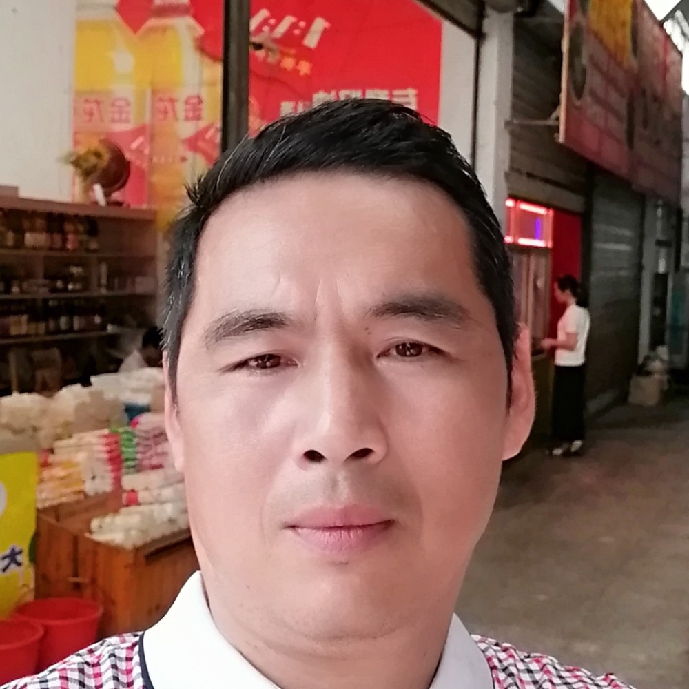 一大片绿叶的照片