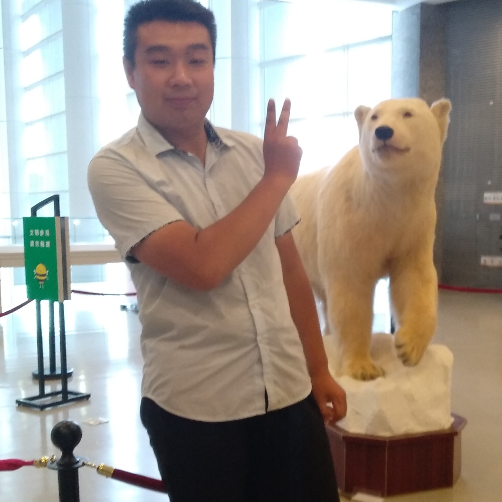 缘分的鱼的照片