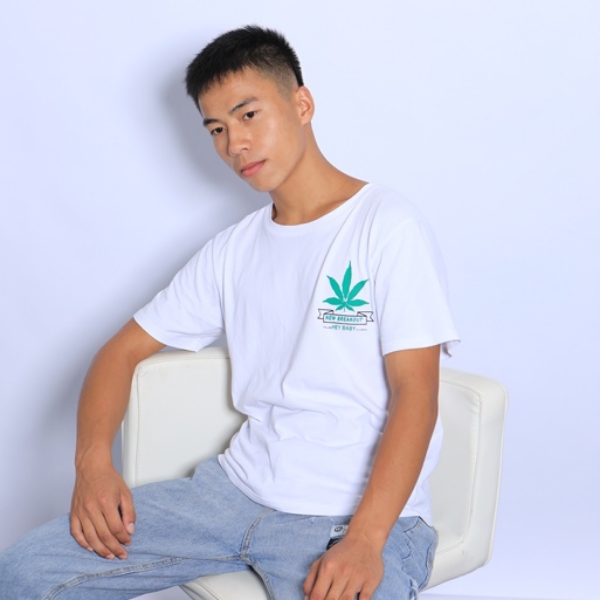 迷人还小猫咪的照片