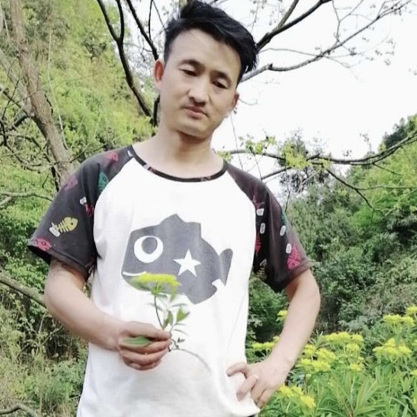 诚信。的照片
