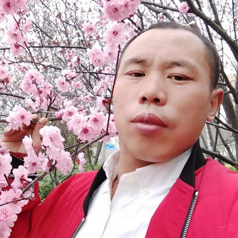 如意邂逅大门的照片