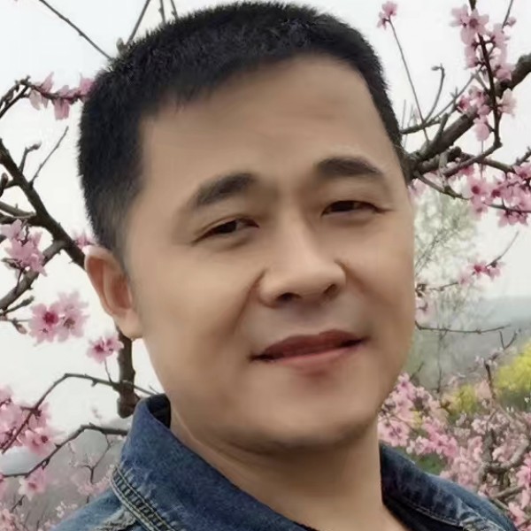 香菇改变务实的照片