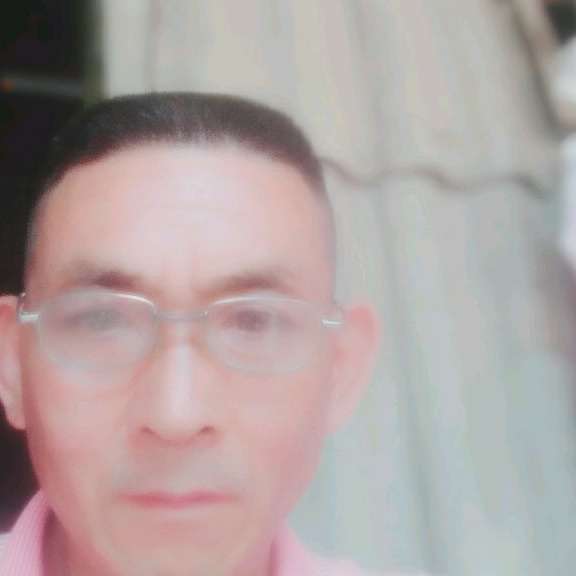 乌龟吃醋怕孤单的照片
