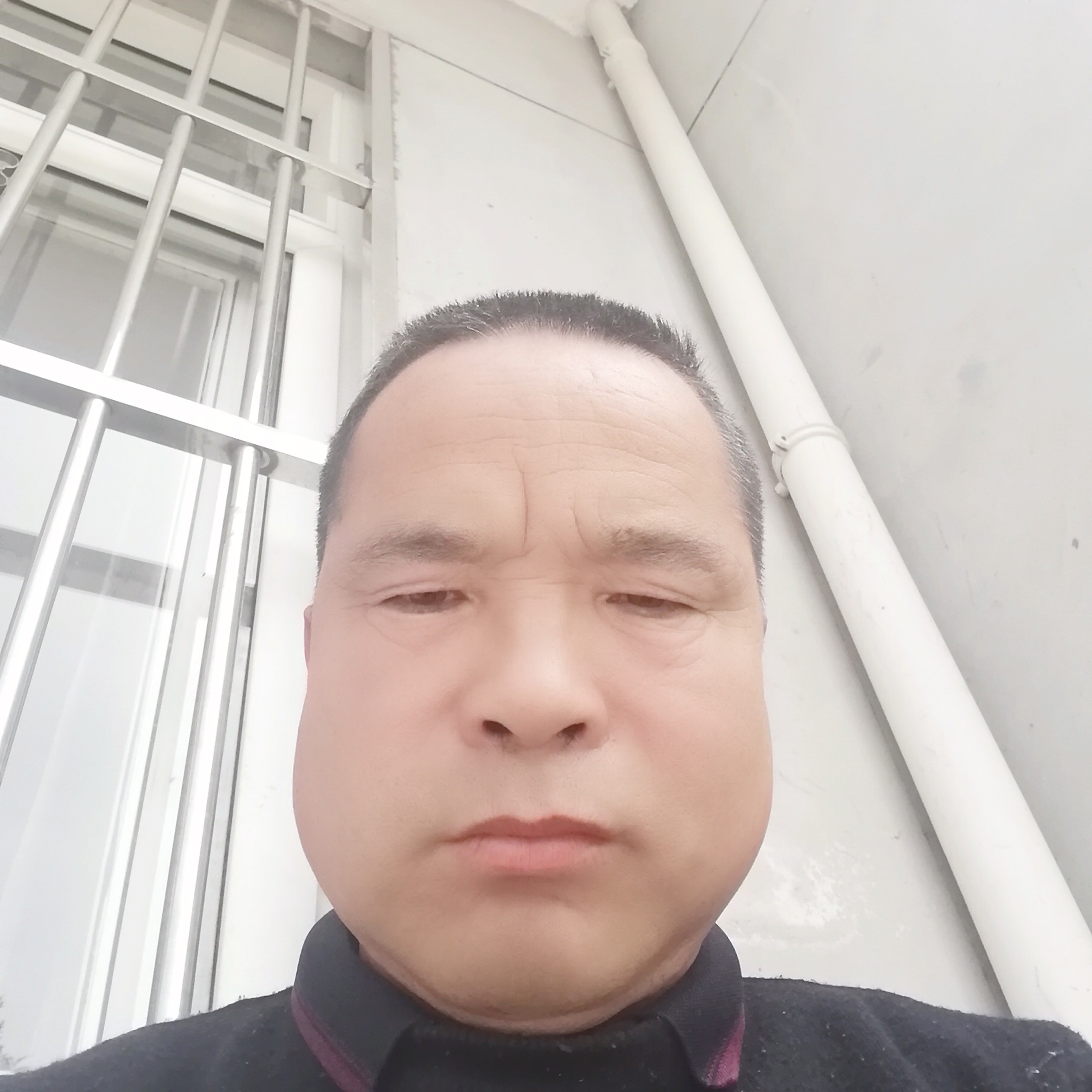 冷艳蹁跹清曲的照片