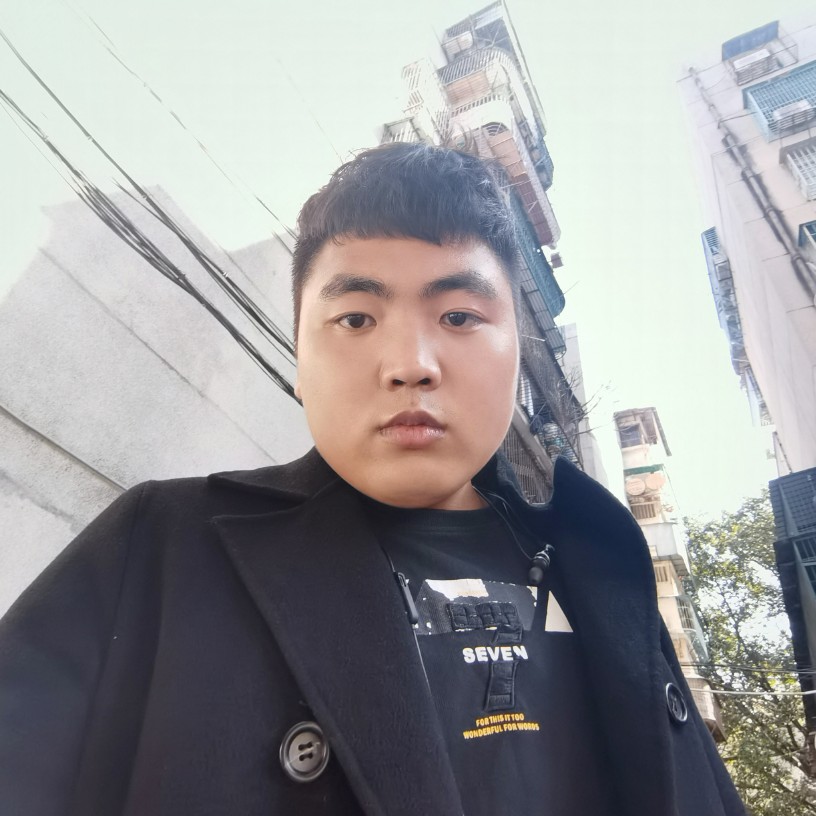 小鸽子执着的照片