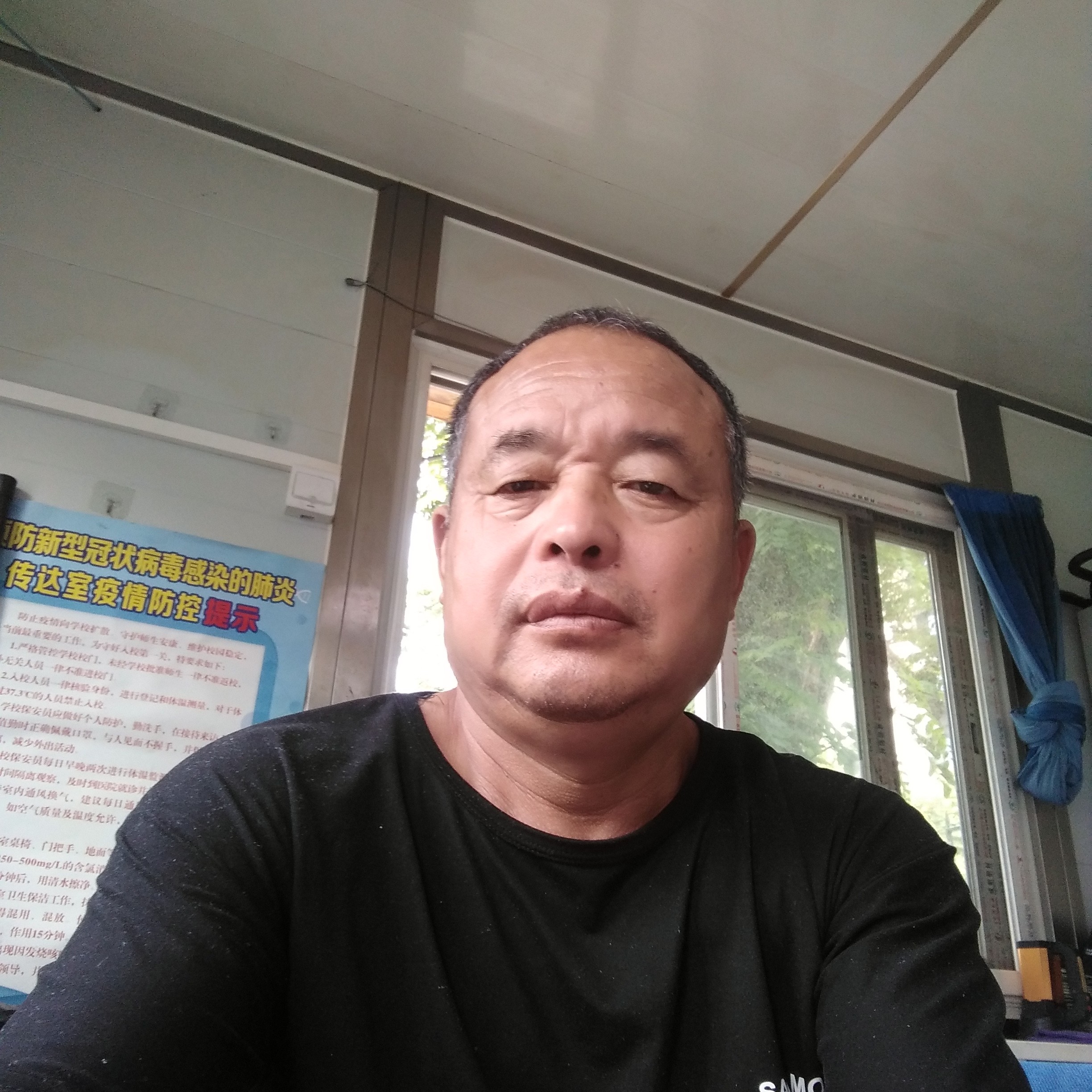 糊涂爱恋斑马的照片