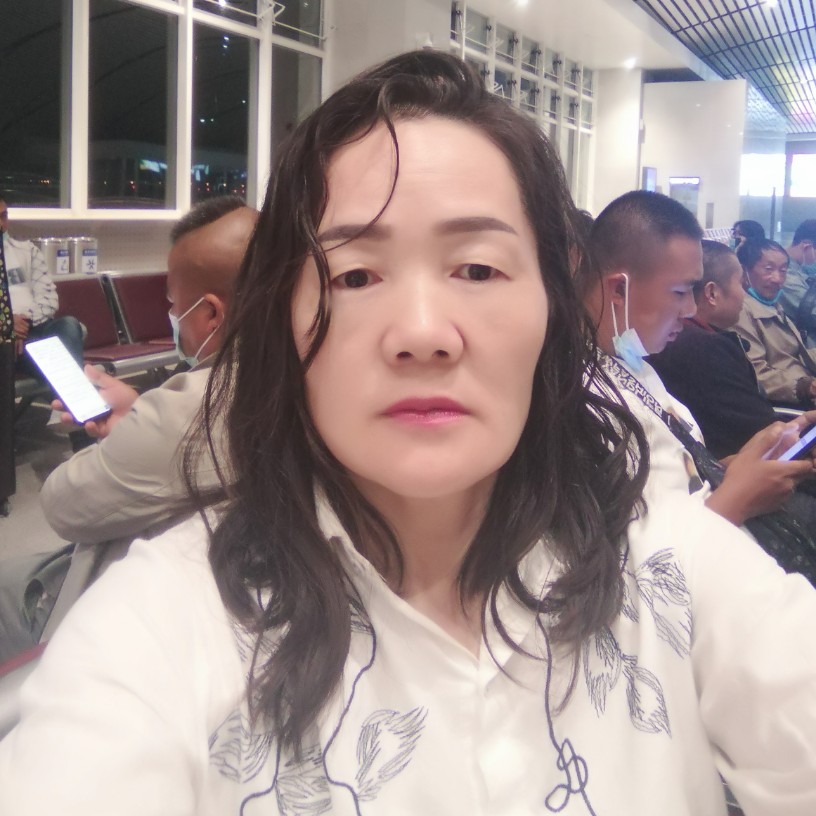 柳絮飘扬的照片
