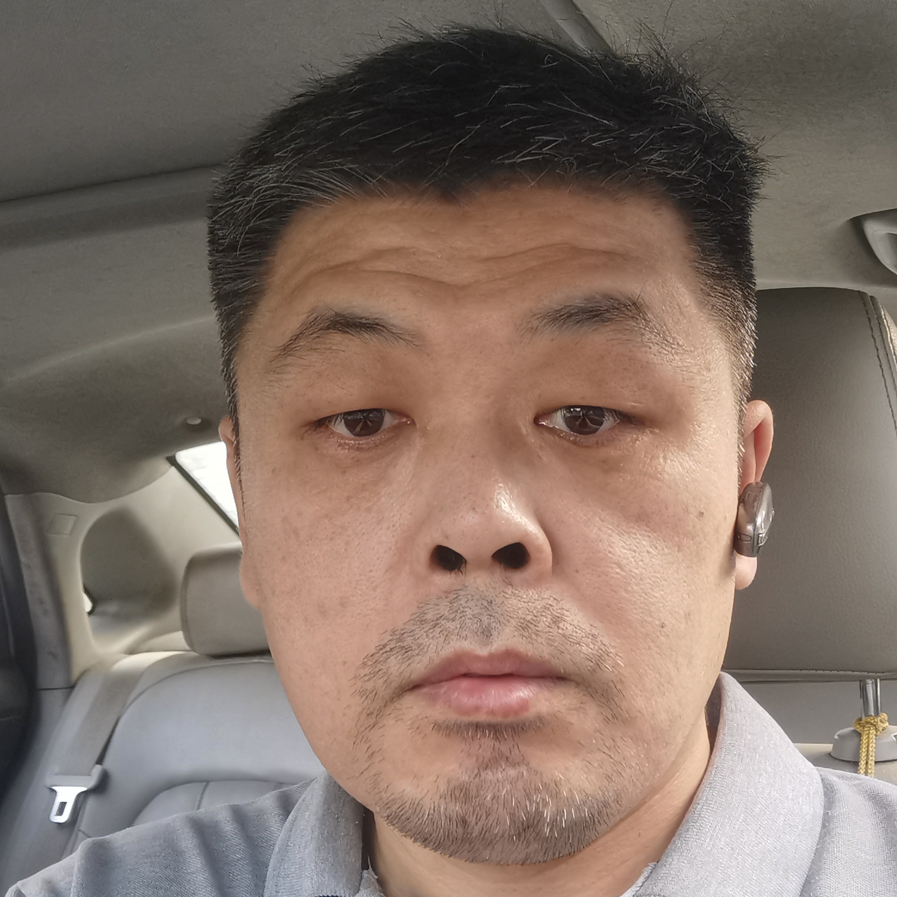 鱼爱恋活泼的照片