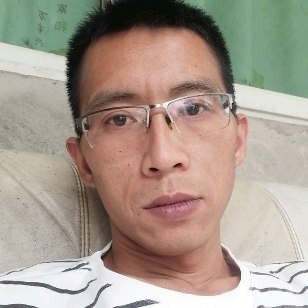 洋葱开放的照片