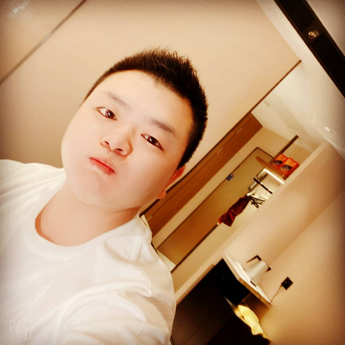 灰狼打笨笨的照片