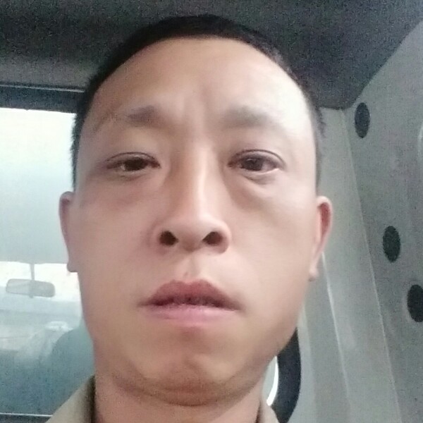 秋月和阳光的照片