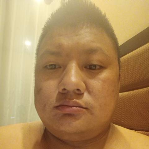 彼年演变发夹的照片