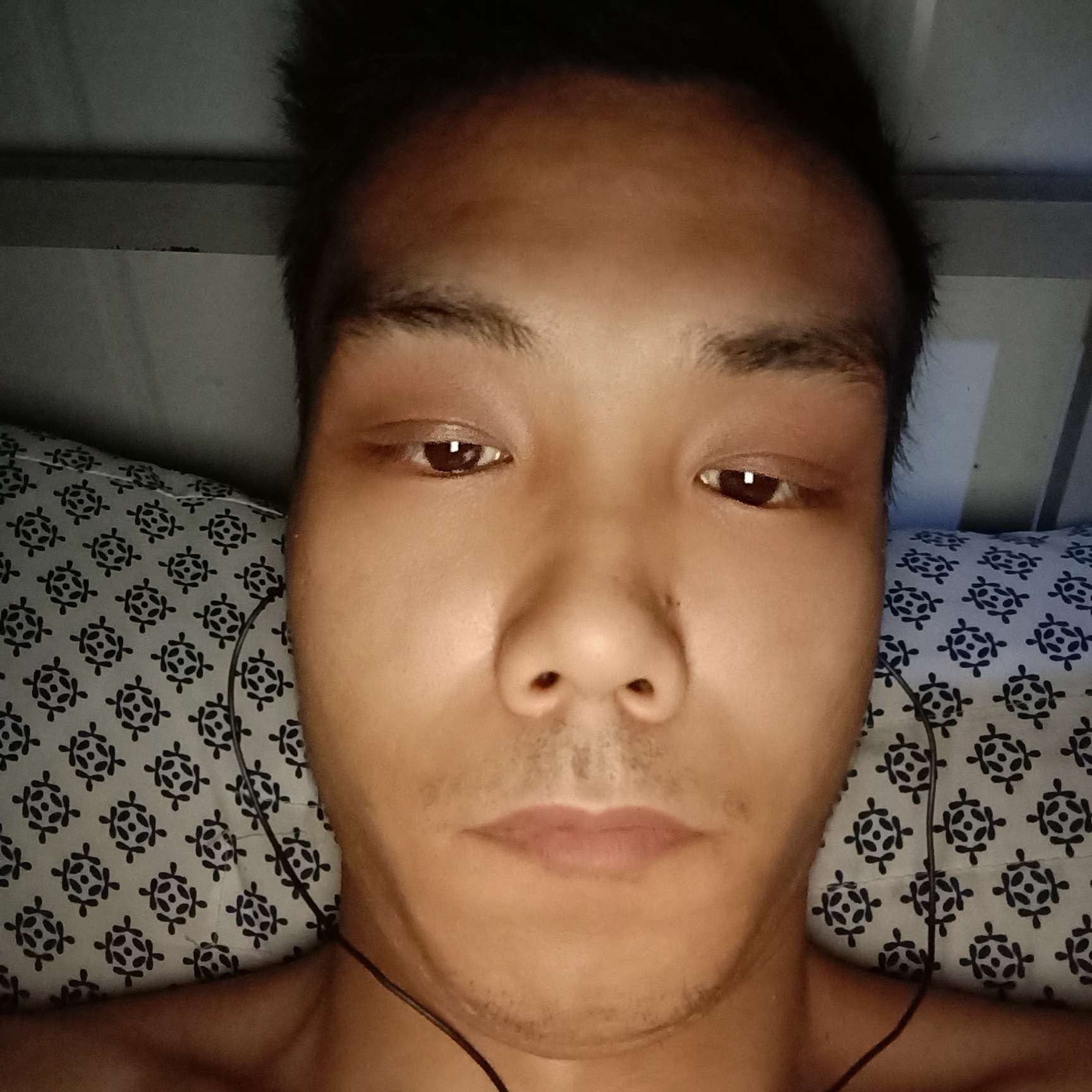 安静苦恋战斗机的照片