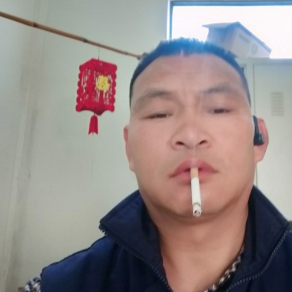 断夏倾心俏皮的照片