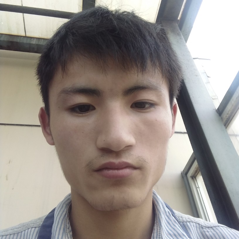 冷傲拾忆寒风的照片