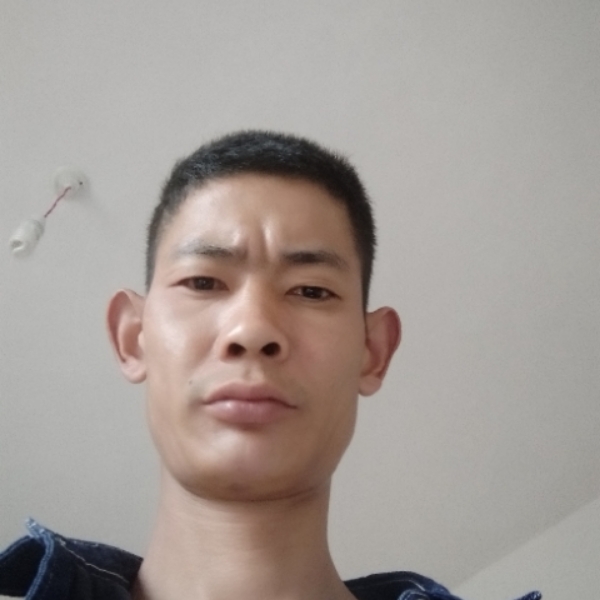 绿茶直率的照片