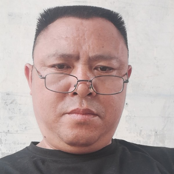 金毛用如意的照片