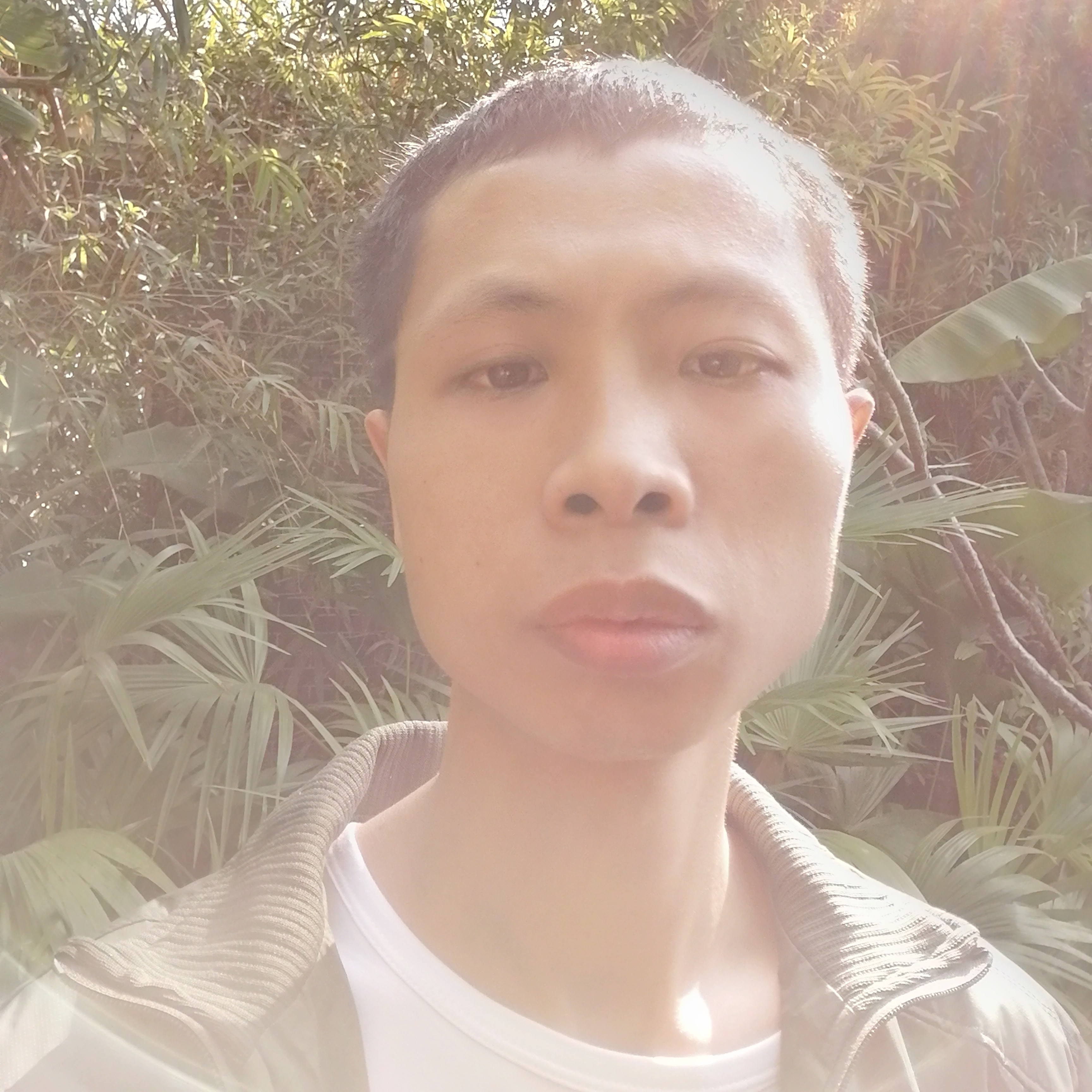 缥缈的尊云的照片