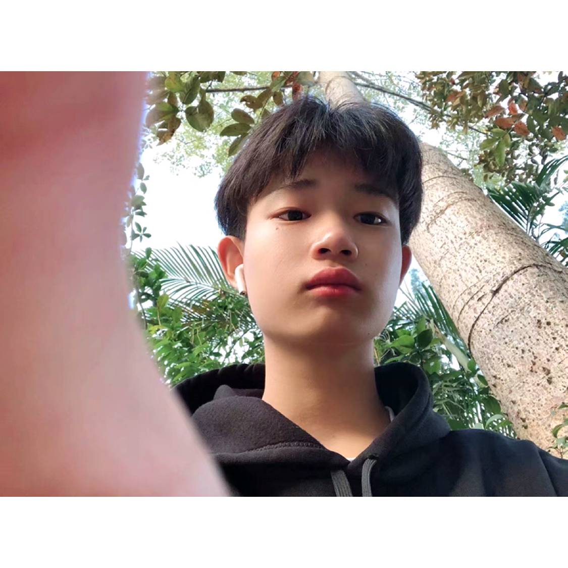 星雨用美好的照片