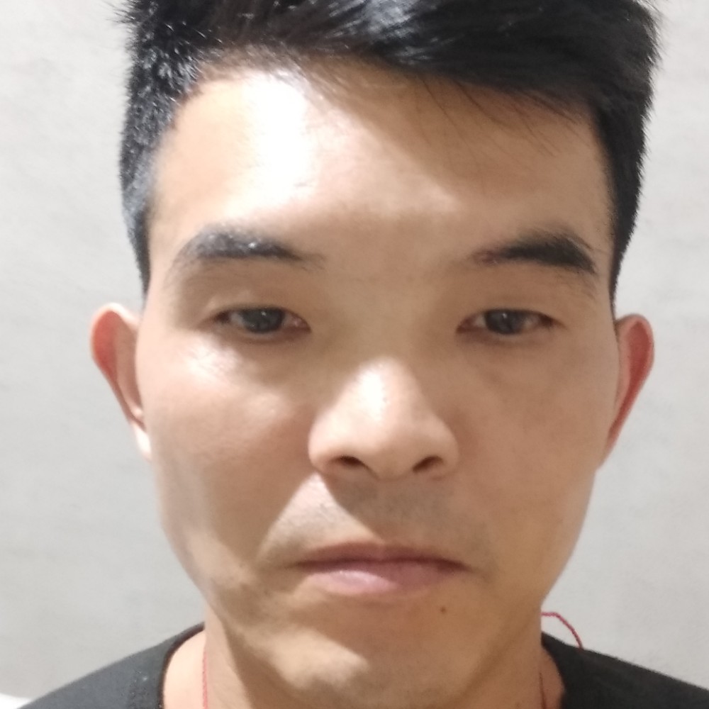 孤独等待小鸭子的照片