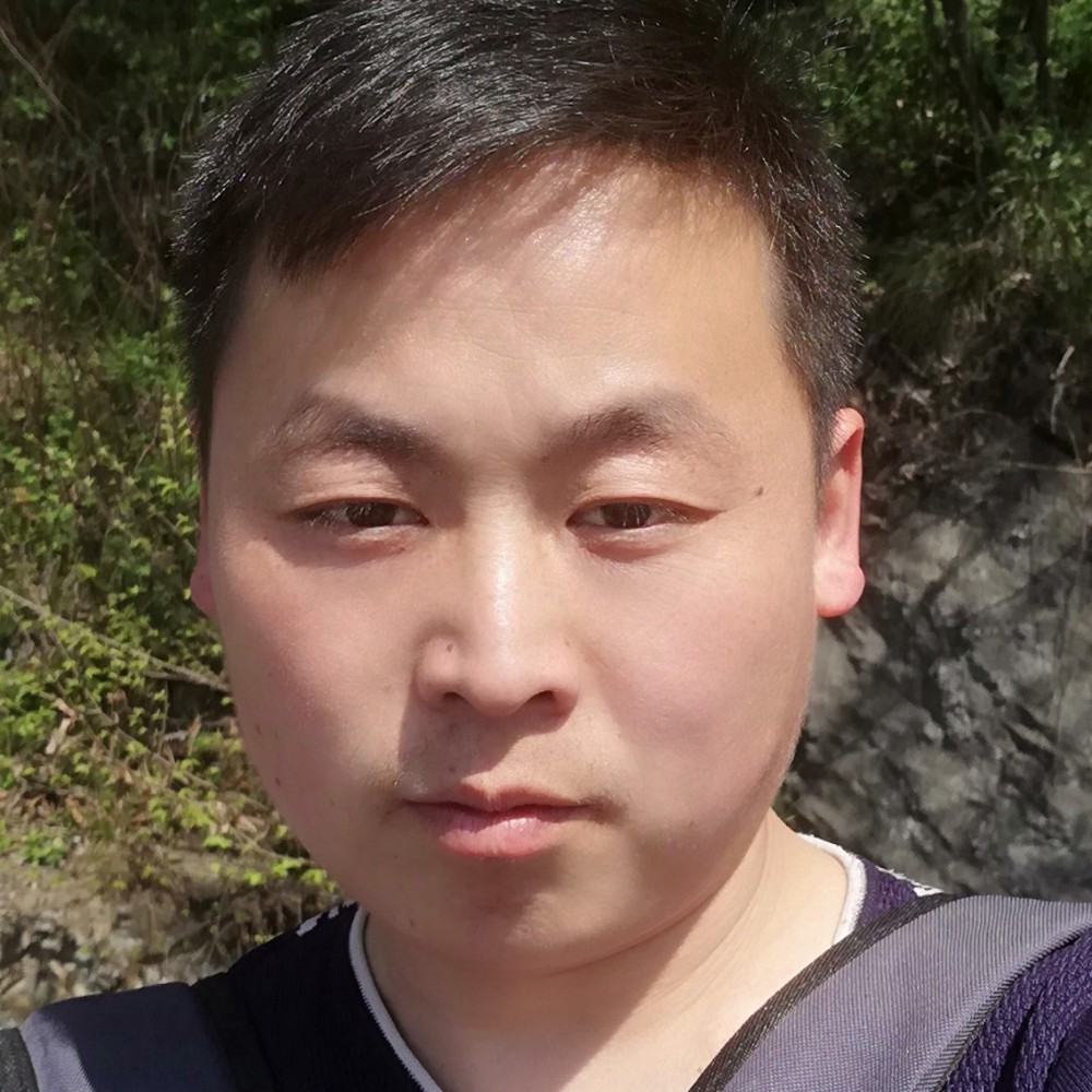 飞鸟给深情的照片