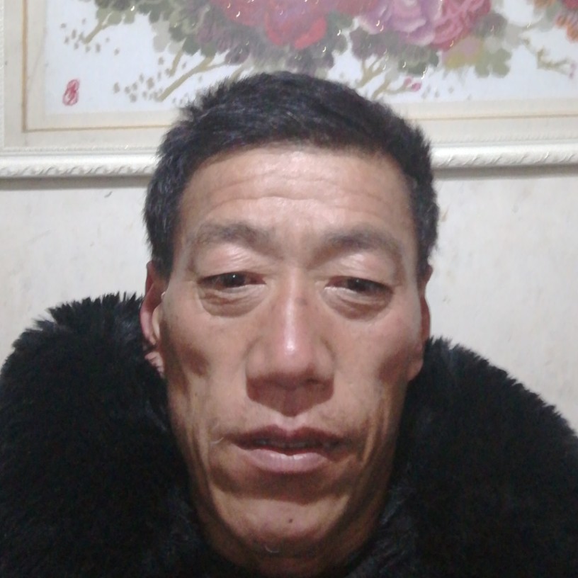 月光恬静的照片