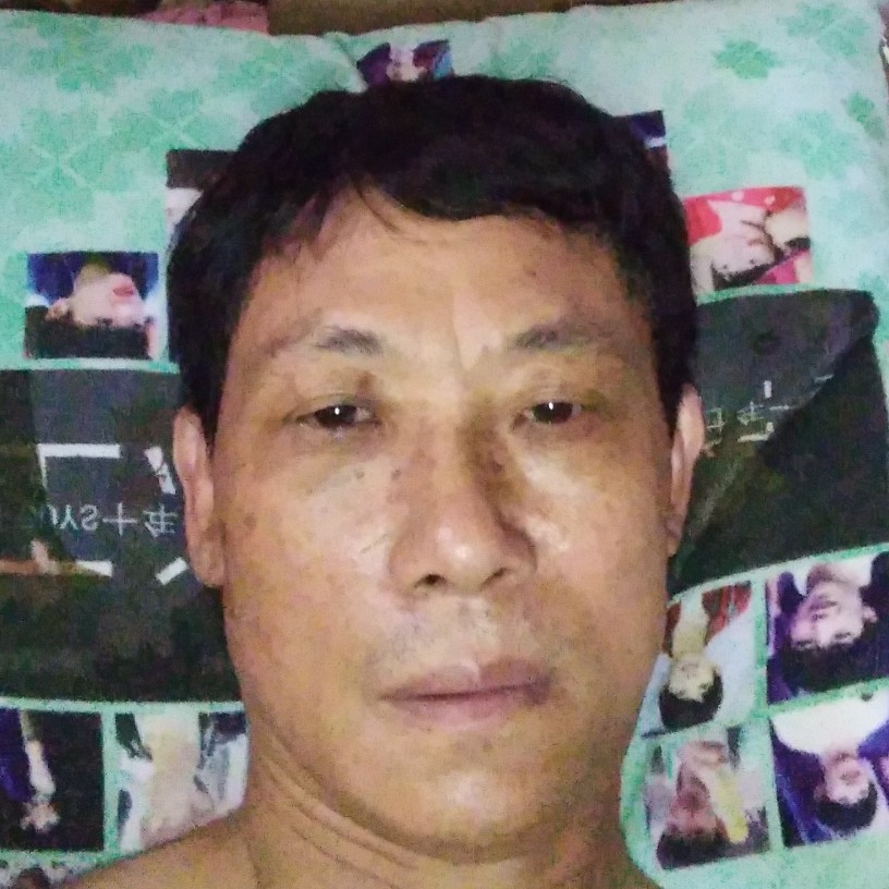 糊涂相许鼠的照片