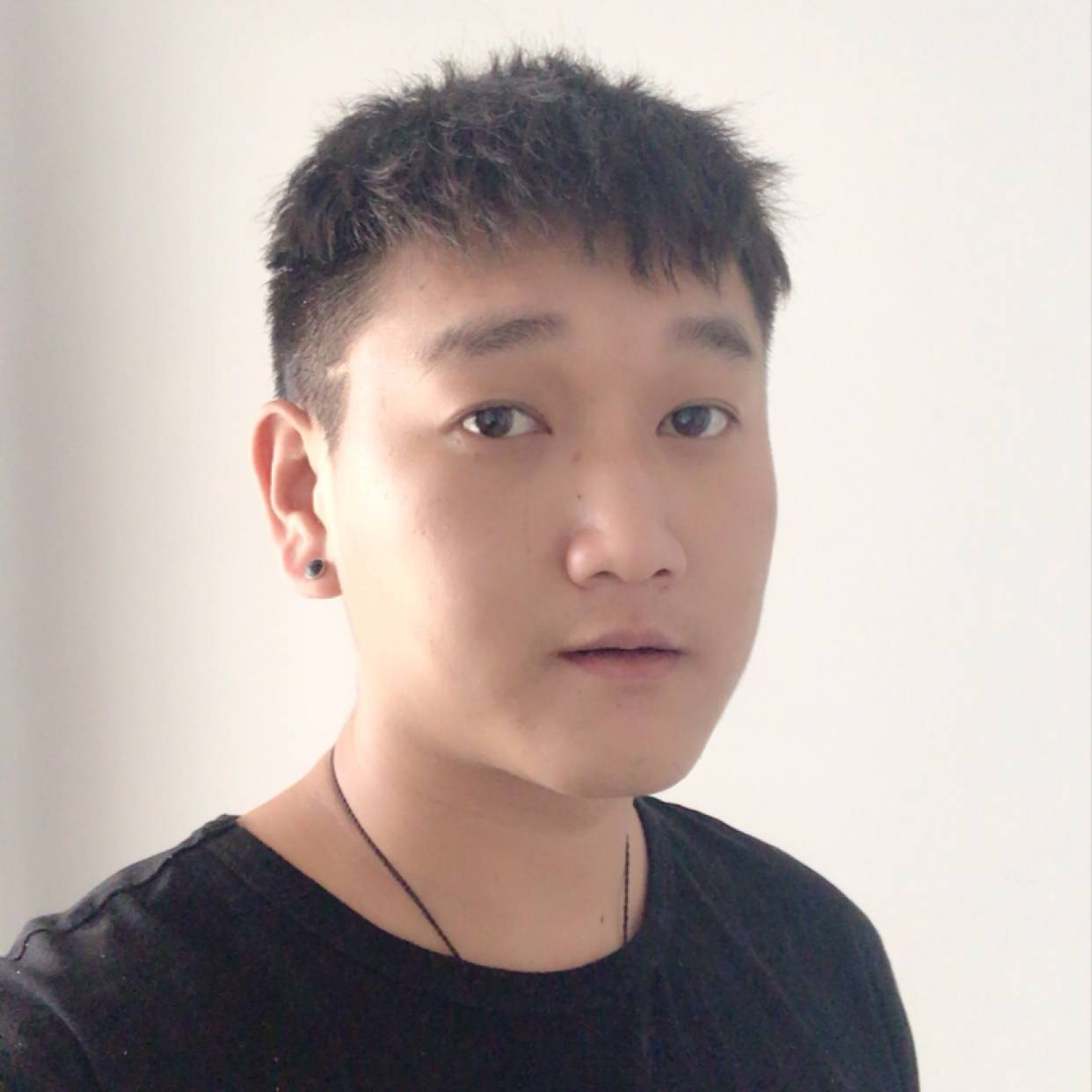 黄蜂就稳重的照片