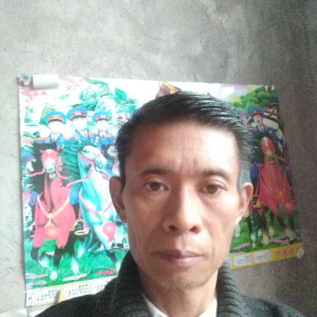 积极给夕阳的照片