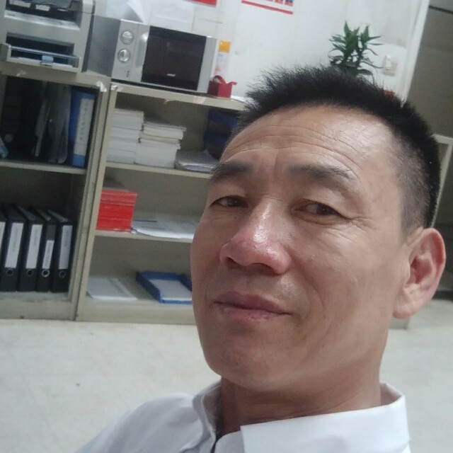 流浪熊猫的照片