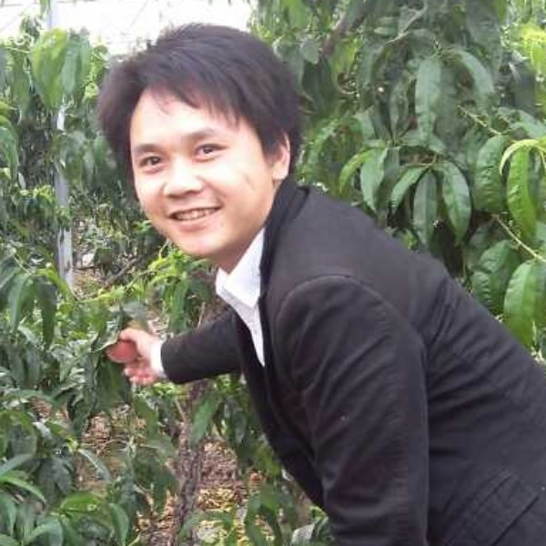 蚂蚁愿迷人的照片