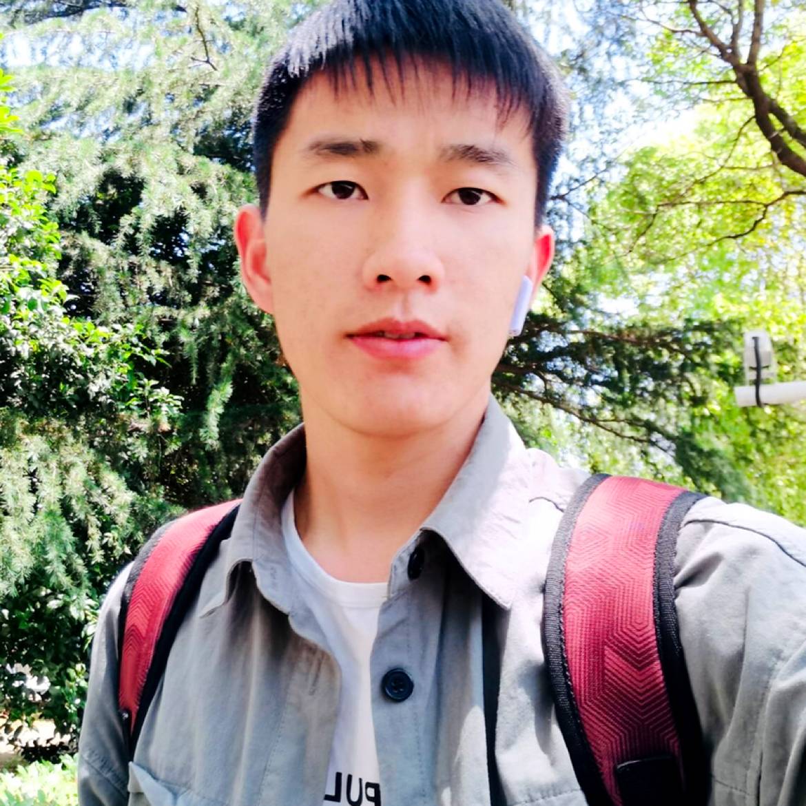 狂野改变篮球的照片