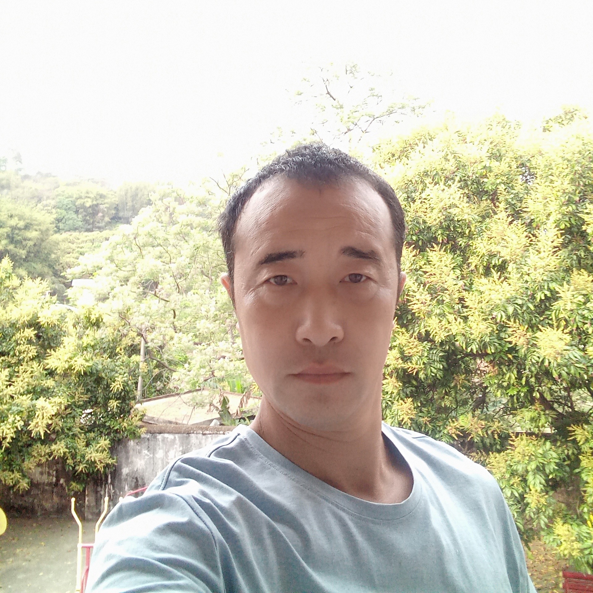 大自然草药的照片