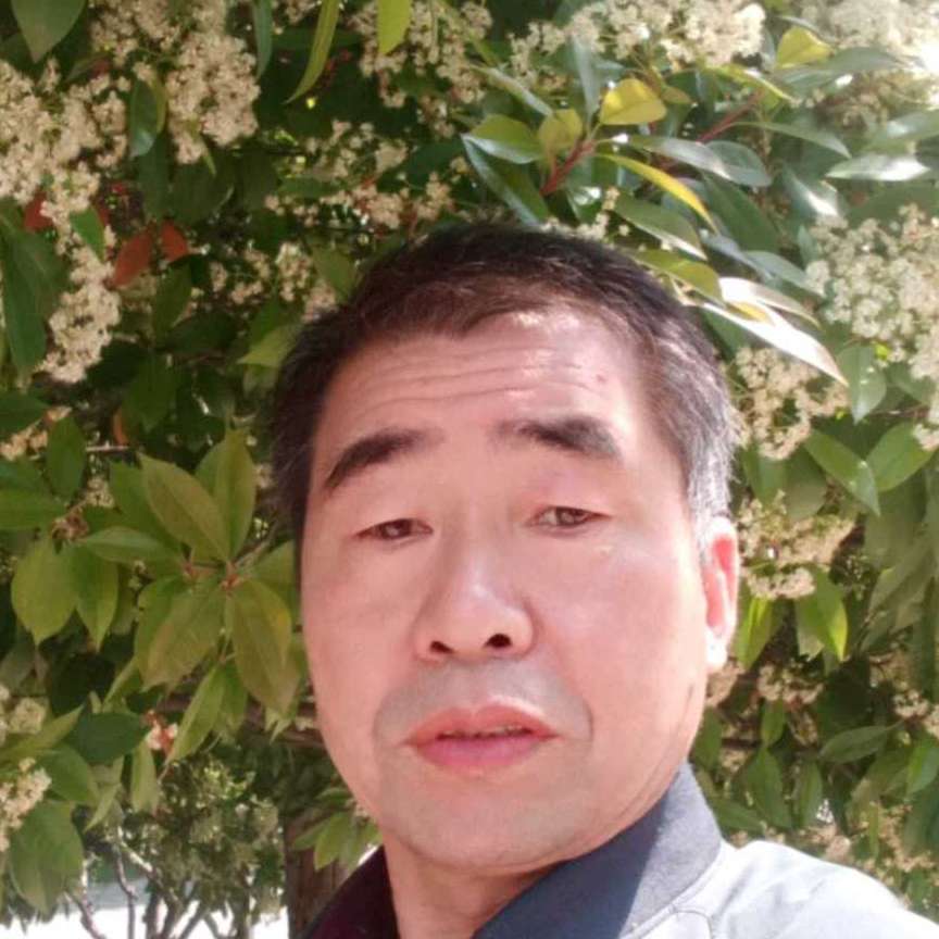 甜美蹁跹大雁的照片