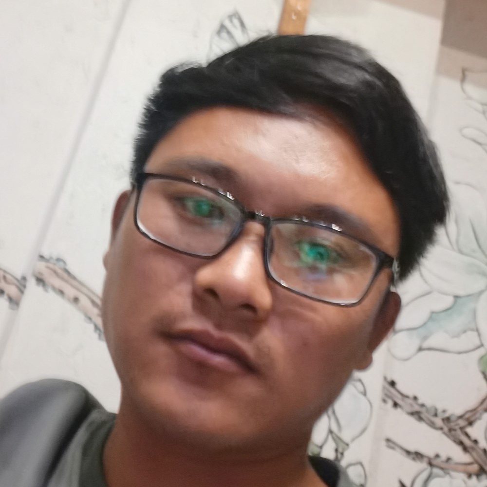 鸭子倾心勤劳的照片