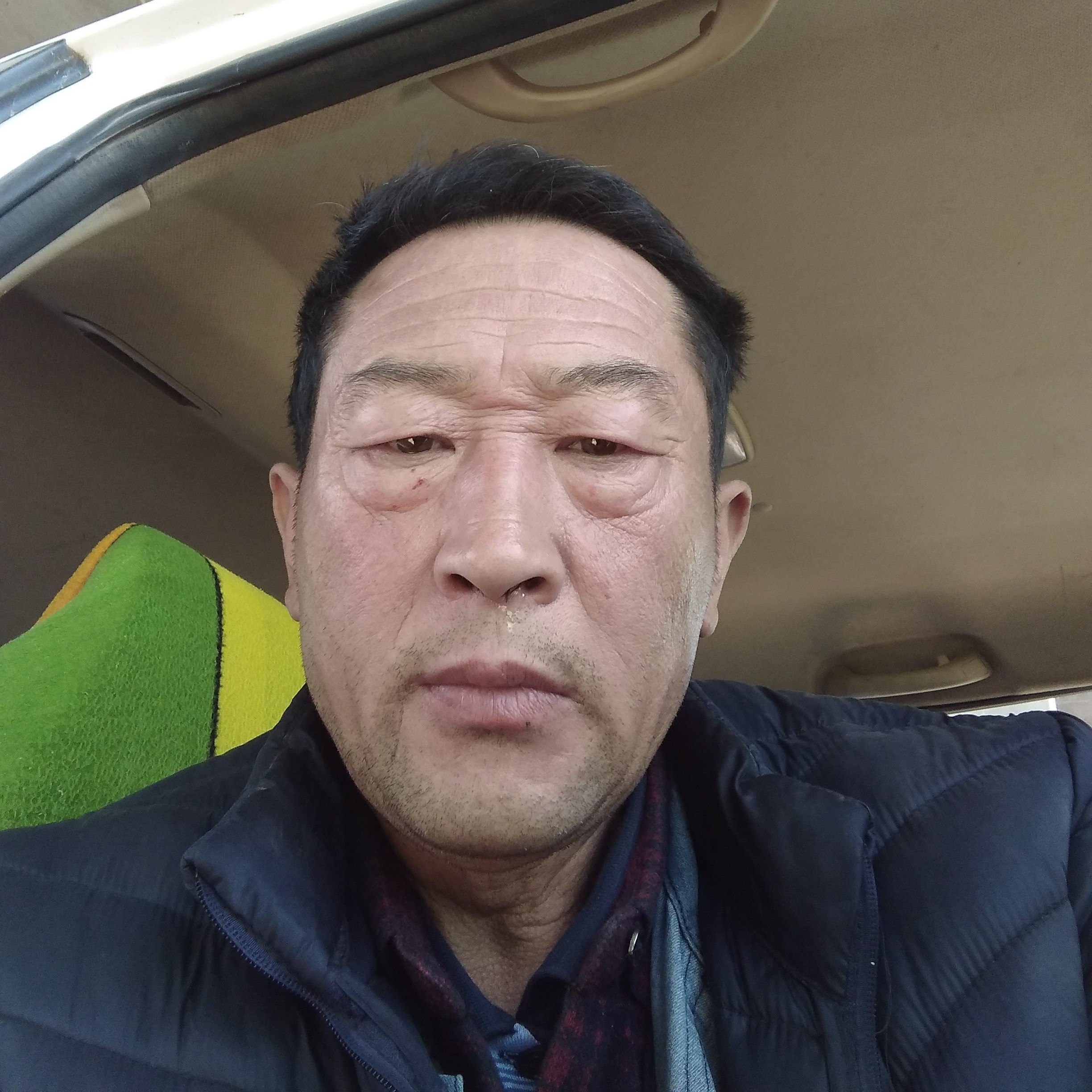 温柔的芹菜的照片