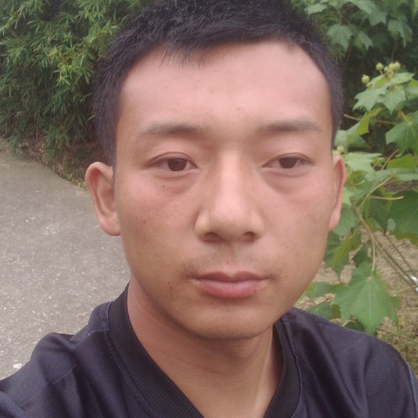 活力邂逅手机的照片